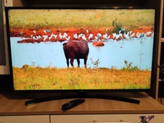 Телевизор LG 43UM7450PLA 4K Smart TV