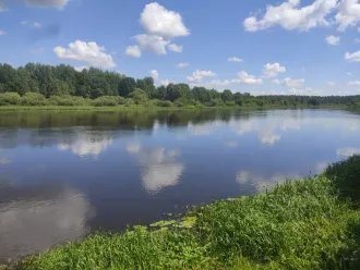 Погода на 7 июня в Бобруйске