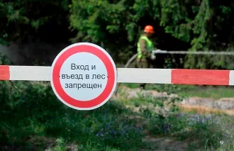 В Бобруйском районе введен запрет на посещение лесов
