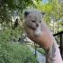 Ласковая девочка ищет дом