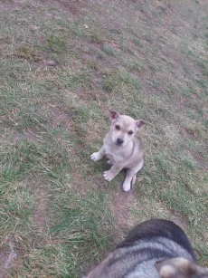 Бесплатно роздаем