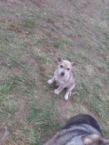 Бесплатно роздаем