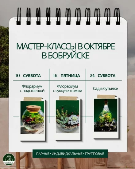 Мастер-класс по созданию флорариума в Бобруйске: расписание на октябрь