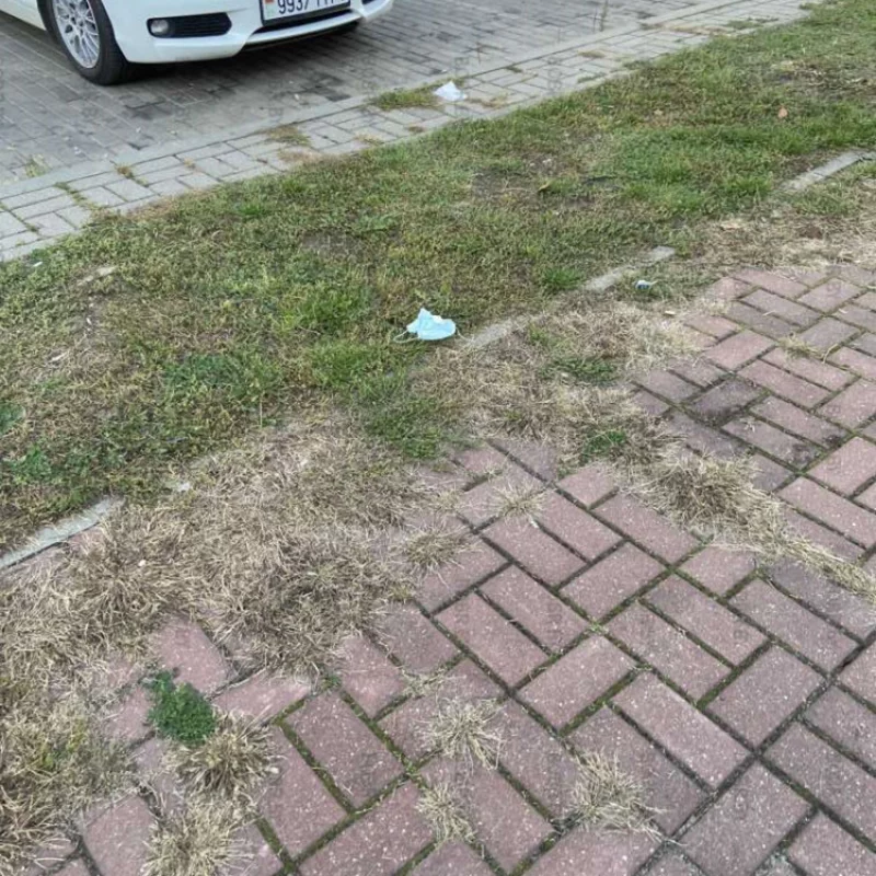 Маски, уже как цветы. Растут по городу