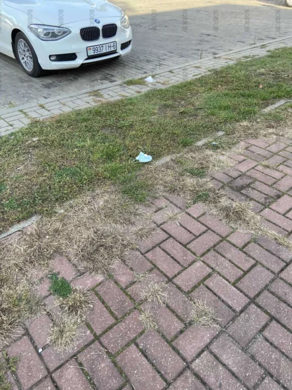 Маски, уже как цветы. Растут по городу