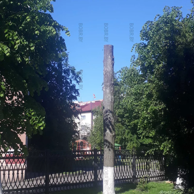 Зеленхоооз.... на фоне флага