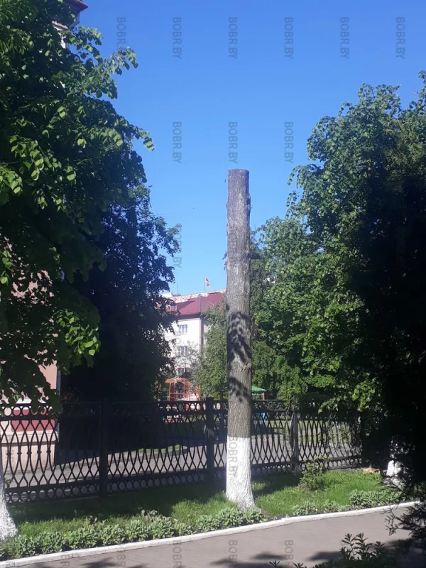 Зеленхоооз.... на фоне флага