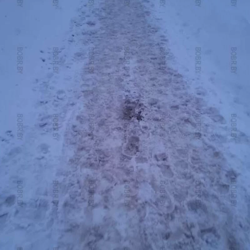 Может кто-нибудь в курсе, Почему в этом году в Бобруйске не убирают снег?