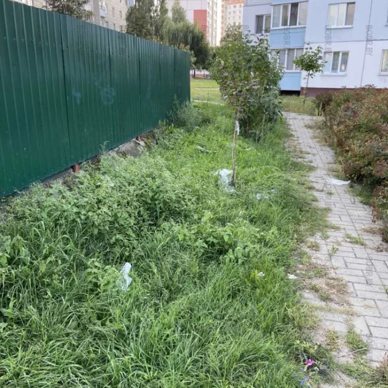 Помойка за помойкой