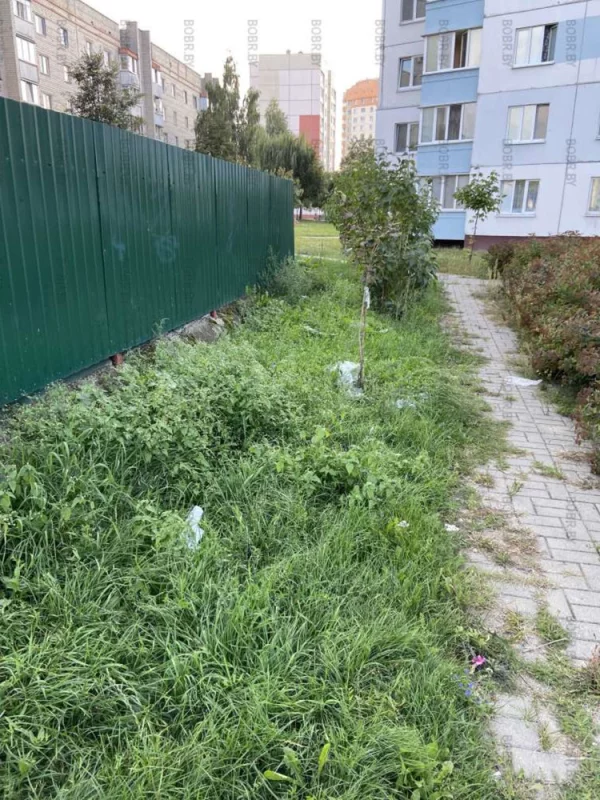 Помойка за помойкой