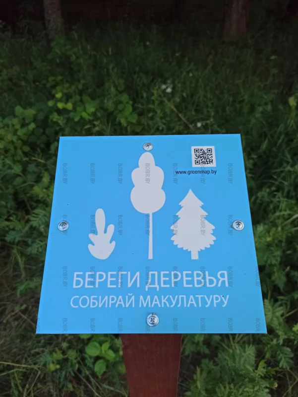Береги деревья - собирай макулатуру