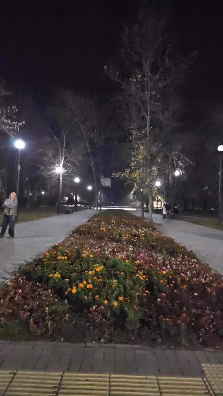Красивая вечерняя подсветка аллеи к Шаманке