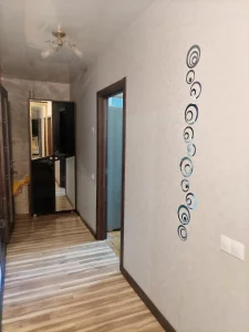 Однокомнатная квартира по пр-ту Строителей, д. 66, кор. 2