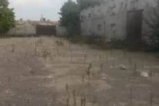 Здание пилорамы и склада в Щатково