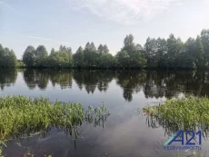 Дом с участком в аг. Красное, Осиповичский р-н