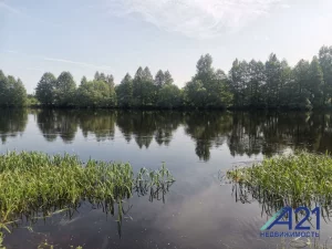 Дом с участком в аг. Красное, Осиповичский р-н