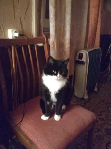 Нужна помощь