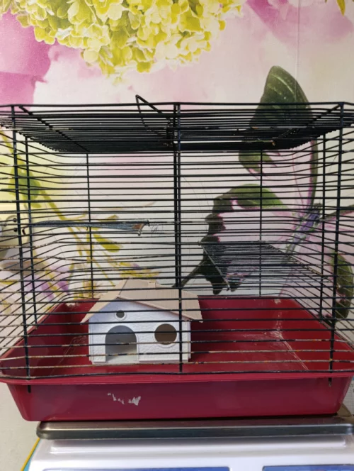 Клетка для грызунов