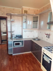 однокомнатная благоустроенная квартира с мебелью и бытовой техникой