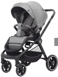 Прогулочная коляска Rant Flex Trends