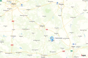 2к квартира в г. Светлогорск, ул. Азалова, 6