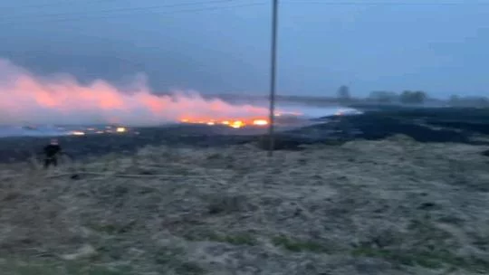В Бобруйском районе замечены первые палы сухой растительности