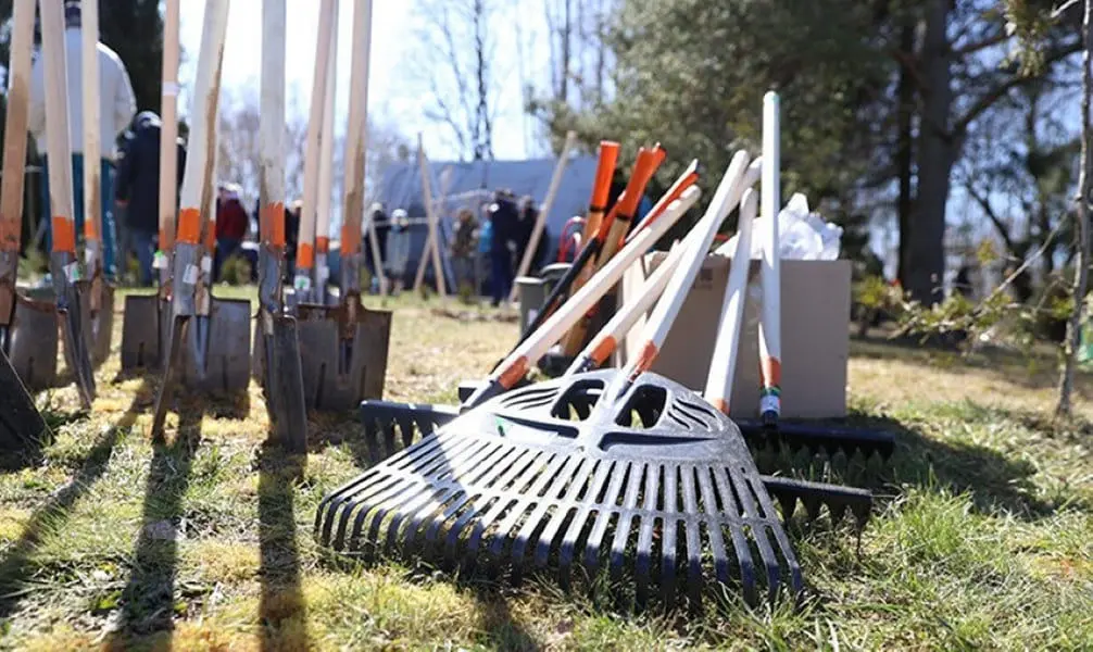 18 апреля в Бобруйском районе пройдёт республиканский субботник