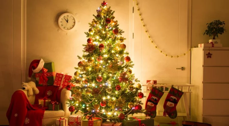 Что положить под ёлку вашему ребенку? Портал shop.by помогает разобраться