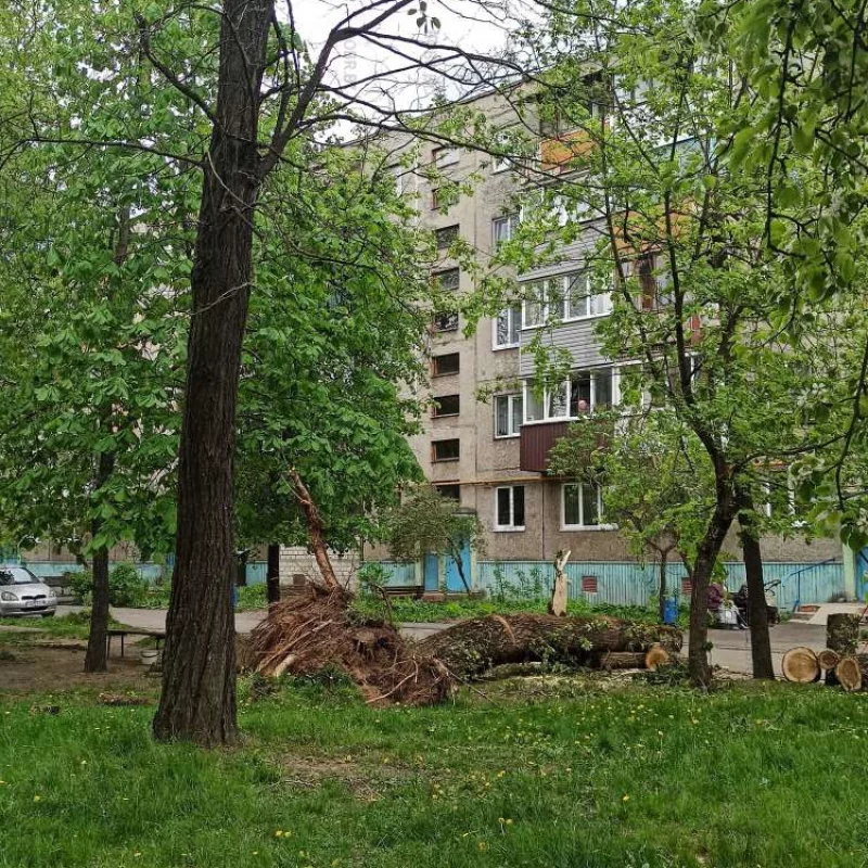 Минская 93