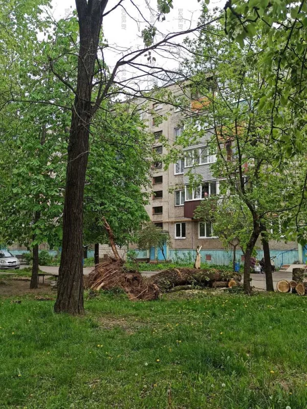 Минская 93
