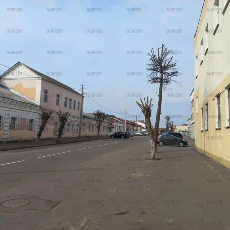 Зелёный бобруйск