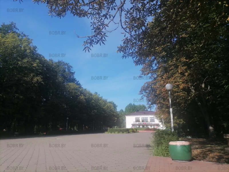 Парк встречае новый день! Оглядитесь, прекрасное рядом.