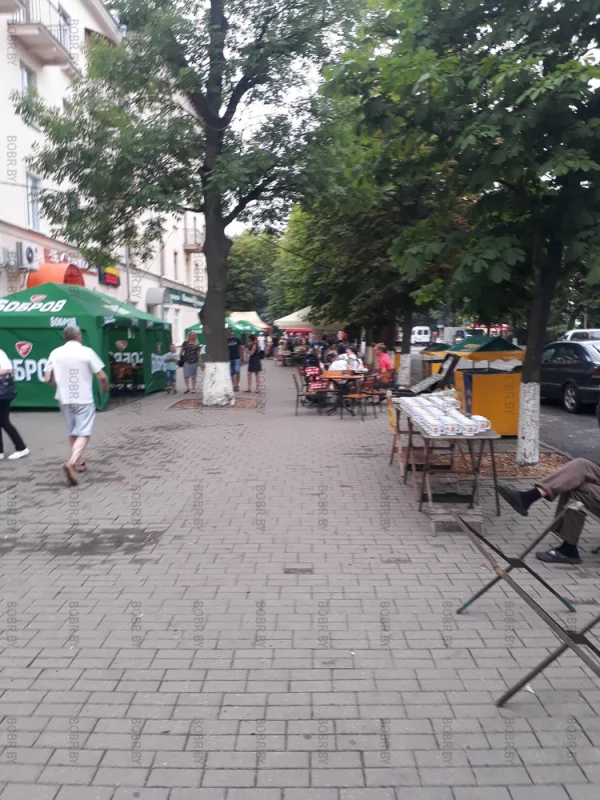 Шкварка рулит