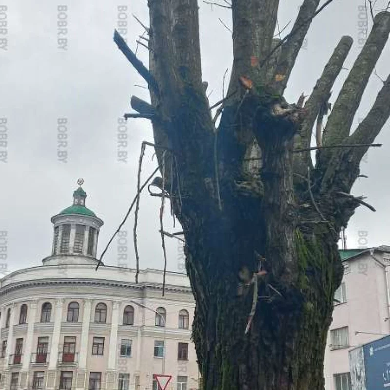 Бобруйск. Главные символы