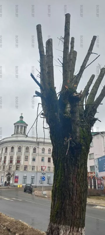 Бобруйск. Главные символы