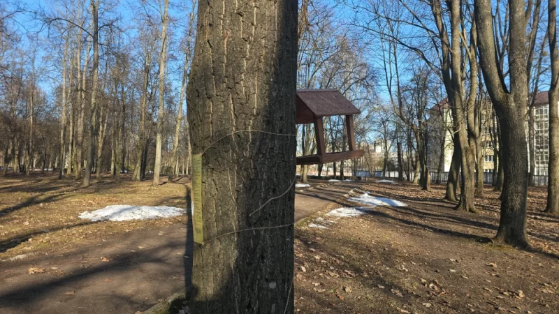 В парке повесили кормушки и памятку, чем кормить птиц