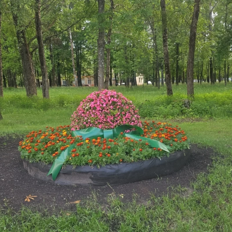Красивая клумба