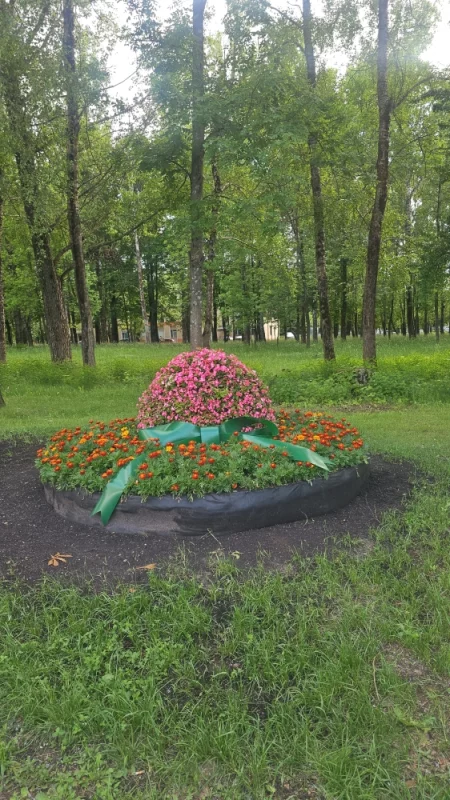 Красивая клумба