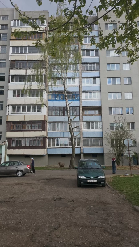 Березу подрезали капитально