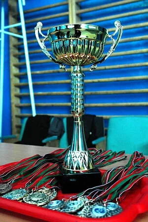 Чемпионат по мини-футболу