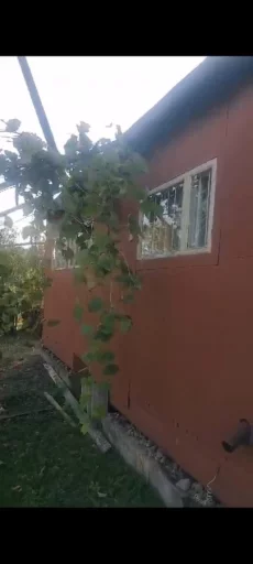 Участок в СТ Солнечная поляна