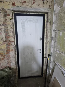 Двери входные