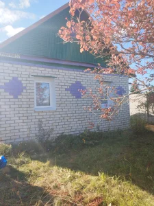 Дачу в деревне Бабино