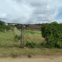 Земельный участок в с/т Дубрава, Сычковский с/с, д. Вербки, Бобруйский