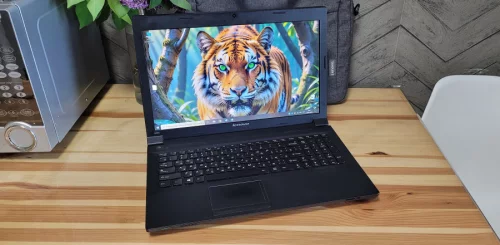 LENOVO B590