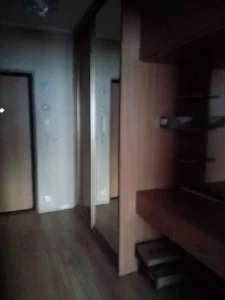 Однокомнатная Доманский