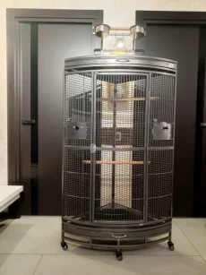 Большая клетка