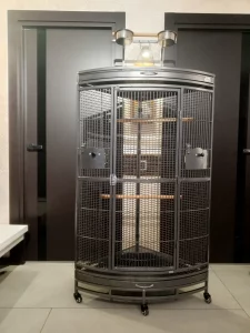 Большая клетка