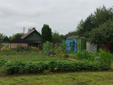 ДАЧУ   5000 уе СТ.Пасека Воротынский сельсовет