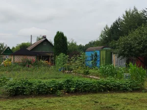 ДАЧУ 5000 уе СТ.Пасека Воротынский сельсовет